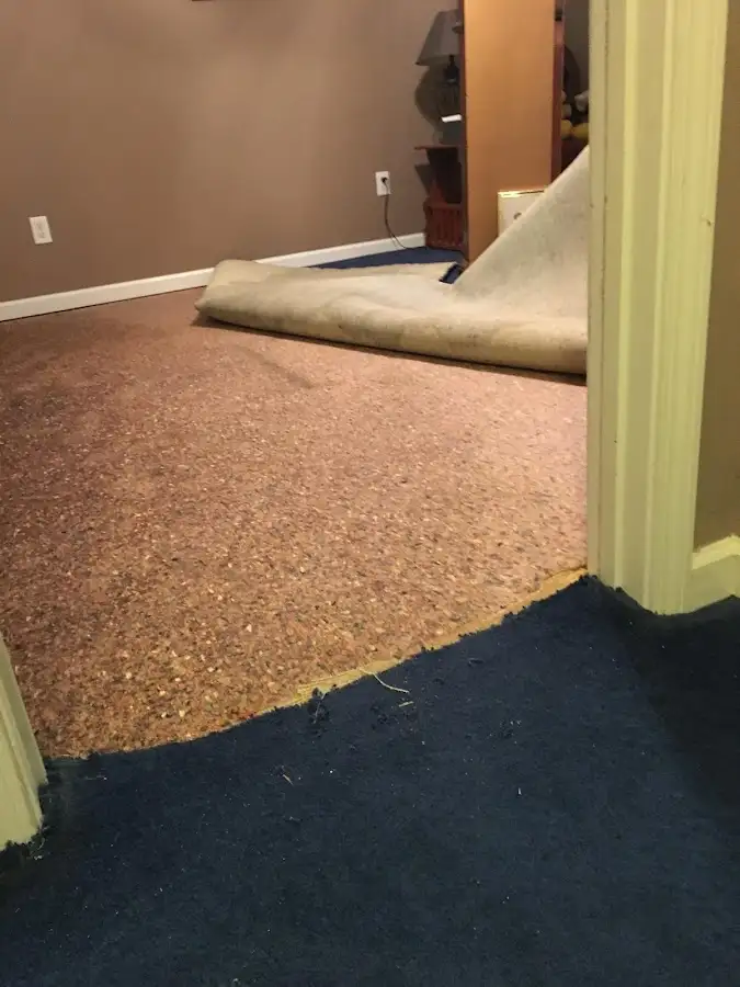 Carpet pad removal revealing water damage during Drying & Dehumidification in College